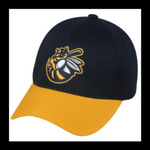 Burlington Bees