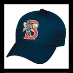 Binghamton Mets