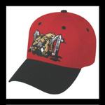 Batavia Muckdogs