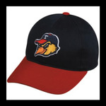 Toledo Mud Hens